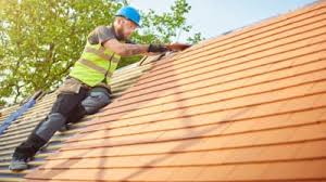 Best Rubber Roofing (EPDM, TPO)  in Ravenel, SC