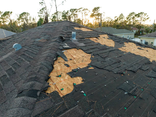 Best Roof Coating and Sealing  in Ravenel, SC